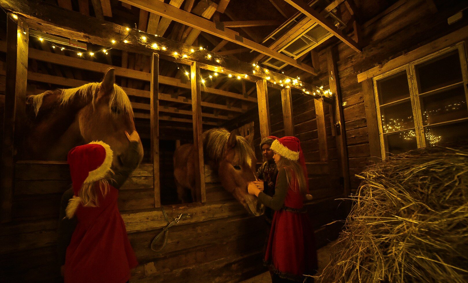 Two kids wearing red and elf hats petting Finnhorses at the Ten sisters family farm.
