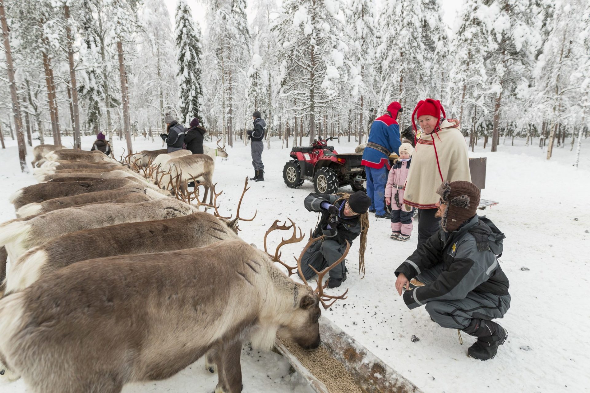 Reindeer Safaris - Ranua Resort