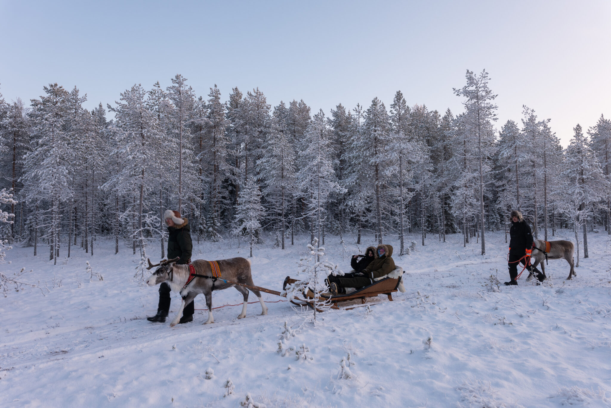 Reindeer safaris - Ranua Resort