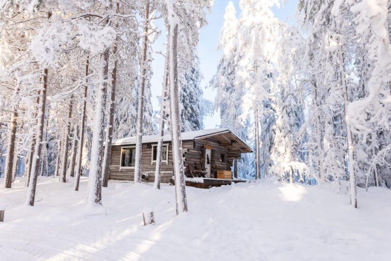 Talvinen ihmemaa lammen rannalla