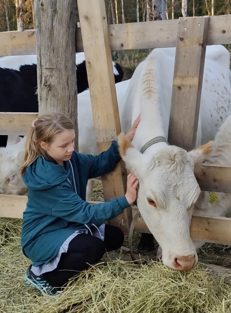 Family Farm and Finnhorses